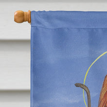 Load image into Gallery viewer, Jesus The Good Shepherd holding a lamb Flag Canvas House Size AAH8215CHF