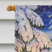 Load image into Gallery viewer, Christmas Gnome pulling a sled Flag Canvas House Size ACG0144CHF