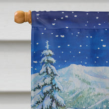 Load image into Gallery viewer, Christmas Gnome Headed out Flag Canvas House Size ACG0147CHF