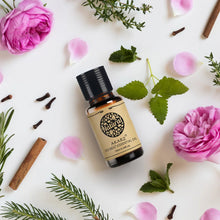 Load image into Gallery viewer, Essential Oils for Diffuser - 12 Kinds Of Fragrance