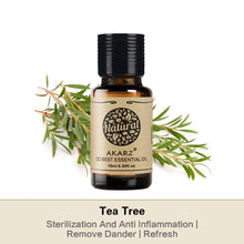 Load image into Gallery viewer, Essential Oils for Diffuser - 12 Kinds Of Fragrance