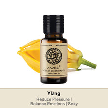 Load image into Gallery viewer, Essential Oils for Diffuser - 12 Kinds Of Fragrance