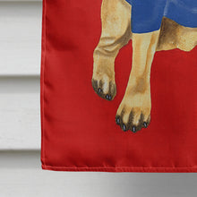 Load image into Gallery viewer, Go Team Varsity Pug Flag Canvas House Size AMB1068CHF