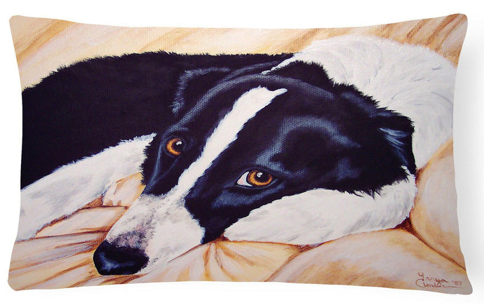Naptime Border Collie Fabric Decorative Pillow AMB1080PW1216