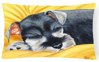 Snoozing Schnauzer Fabric Decorative Pillow AMB1161PW1216