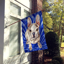 Load image into Gallery viewer, Diamond in Blue French Bulldog Flag Canvas House Size AMB1351CHF