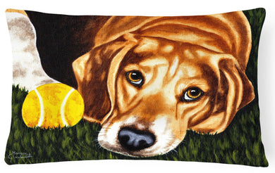 Have Ball Will Travel Beagle Fabric Decorative Pillow AMB1358PW1216