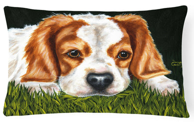 Cavalier Spaniel in the Grass Fabric Decorative Pillow AMB1395PW1216