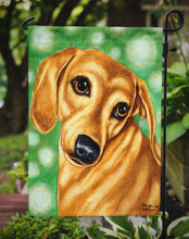 Load image into Gallery viewer, The Eyes Have It Dachshund Garden Flag - Outdoor Decorative Yard Flag