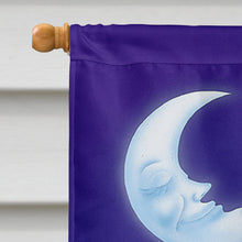 Load image into Gallery viewer, Music under the Moon Penguins Flag Canvas House Size