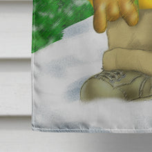 Load image into Gallery viewer, Teddy Bear Snowboarding Flag Canvas House Size APH0857CHF