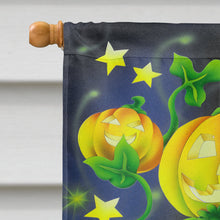Load image into Gallery viewer, Scary Ghosts and Halloween Trick or Treaters Flag Canvas House Size APH0933CHF