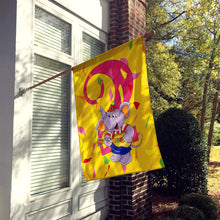 Load image into Gallery viewer, Happy 2nd Birthday Age 2 Flag Canvas House Size APH2159CHF