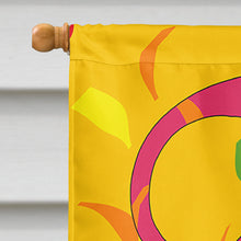 Load image into Gallery viewer, Happy 2nd Birthday Age 2 Flag Canvas House Size APH2159CHF