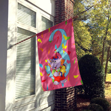 Load image into Gallery viewer, Happy 3rd Birthday Age 3  Flag Canvas House Size APH2160CHF