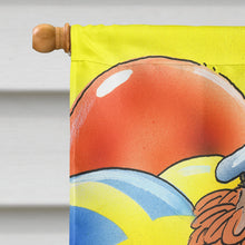 Load image into Gallery viewer, Graduation The Graduate Flag Canvas House Size APH6011CHF