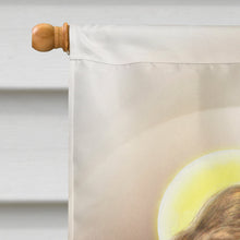 Load image into Gallery viewer, First Communion Boy Flag Canvas House Size