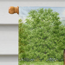 Load image into Gallery viewer, Leveret and Momma Rabbit Flag Canvas House Size ASA2026CHF