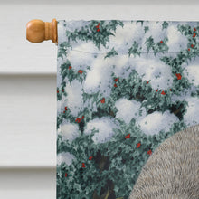 Load image into Gallery viewer, Badgers on the Move Flag Canvas House Size ASA2038CHF