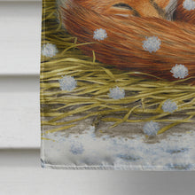 Load image into Gallery viewer, Fox Sleeping in the Snow Flag Canvas House Size ASA2045CHF