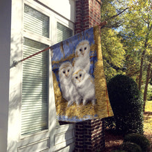 Load image into Gallery viewer, Barn Owl Chicks Flag Canvas House Size ASA2076CHF