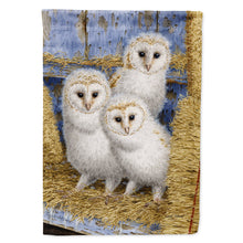 Load image into Gallery viewer, Barn Owl Chicks Flag Canvas House Size ASA2076CHF
