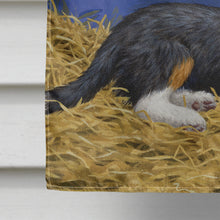 Load image into Gallery viewer, Border Collie Pups Flag Canvas House Size ASA2079CHF