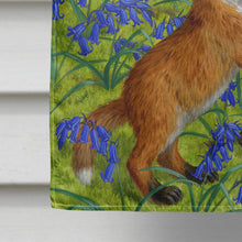 Load image into Gallery viewer, Fox Family Flag Canvas House Size ASA2123CHF