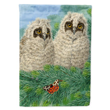 Load image into Gallery viewer, Owlets Flag Canvas House Size ASA2126CHF