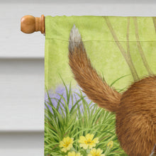 Load image into Gallery viewer, Fox Cubs Flag Canvas House Size ASA2131CHF