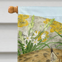 Load image into Gallery viewer, Lynx &amp; Cubs Flag Canvas House Size ASA2134CHF