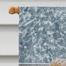 Load image into Gallery viewer, Shetland Ponies Flag Canvas House Size ASA2146CHF