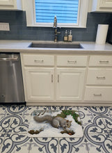 Load image into Gallery viewer, Grey Squirrel Machine Washable Memory Foam Mat ASA2180RUG