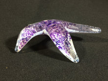 Load image into Gallery viewer, La Jolla Cove Starfish