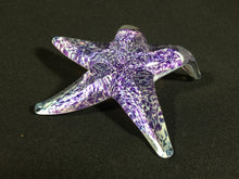 Load image into Gallery viewer, La Jolla Cove Starfish