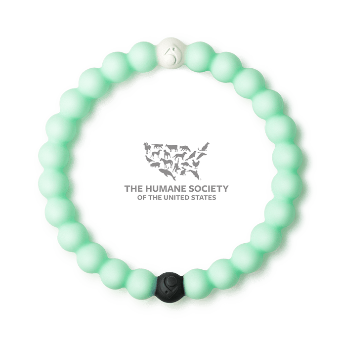 Animal Rescue Mint Bracelet