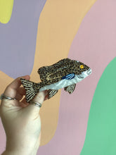 Load image into Gallery viewer, Super Grouper Hair Claw