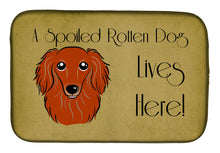 Load image into Gallery viewer, Longhair Red Dachshund Spoiled Dog Lives Here Dish Drying Mat – Absorbent, Artistic Kitchen Essentials BB1462DDM