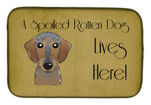 Load image into Gallery viewer, Wirehaired Dachshund Spoiled Dog Lives Here Dish Drying Mat – Absorbent, Artistic Kitchen Essentials BB1481DDM