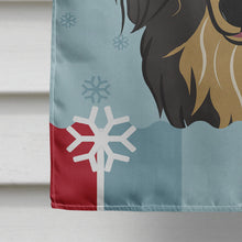 Load image into Gallery viewer, Winter Holiday Longhair Black and Tan Dachshund Flag Canvas House Size BB1709CHF