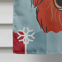Load image into Gallery viewer, Winter Holiday Longhair Red Dachshund Flag Canvas House Size BB1710CHF