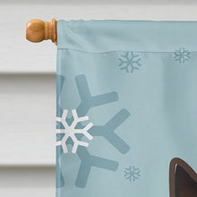 Load image into Gallery viewer, Winter Holiday Min Pin Flag Canvas House Size BB1736CHF