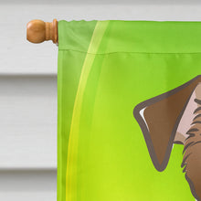 Load image into Gallery viewer, Jack Russell Terrier St. Patrick's Day Flag Canvas House Size BB1946CHF