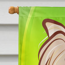 Load image into Gallery viewer, Yorkie Yorkshire Terrier St. Patrick's Day Flag Canvas House Size BB1948CHF