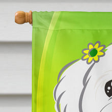 Load image into Gallery viewer, Maltese St. Patrick's Day Flag Canvas House Size BB1952CHF