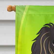 Load image into Gallery viewer, Longhair Black and Tan Dachshund St. Patrick's Day Flag Canvas House Size BB1957CHF