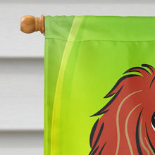 Load image into Gallery viewer, Longhair Red Dachshund St. Patrick's Day Flag Canvas House Size BB1958CHF