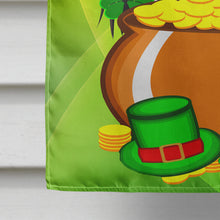 Load image into Gallery viewer, Japanese Chin St. Patrick's Day Flag Canvas House Size BB1974CHF