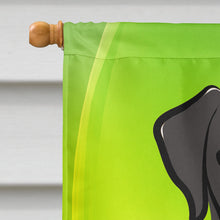 Load image into Gallery viewer, Black Labrador St. Patrick's Day Flag Canvas House Size BB1979CHF