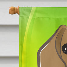 Load image into Gallery viewer, Beagle St. Patrick's Day Flag Canvas House Size BB1983CHF